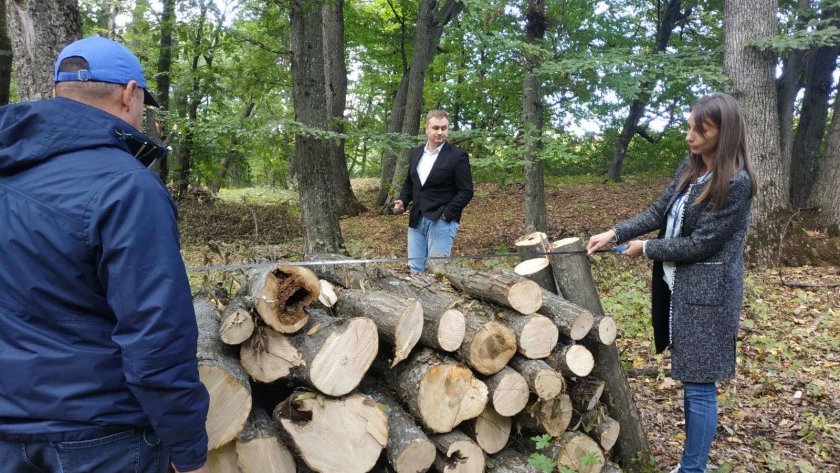 Acțiuni de monitorizare a Sistemul de comercializare a masei lemnoase disponibilă spre vânzare cetățenilor din Republica Moldova.